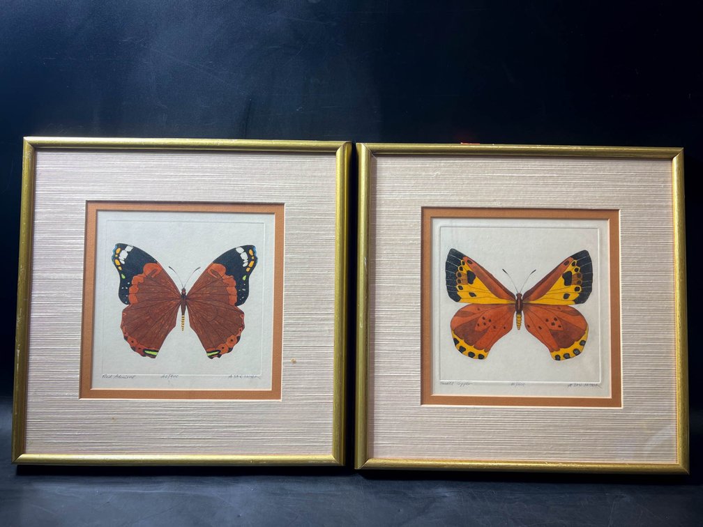 Dan Mitra Limited Edition Butterfly Prints, Framed