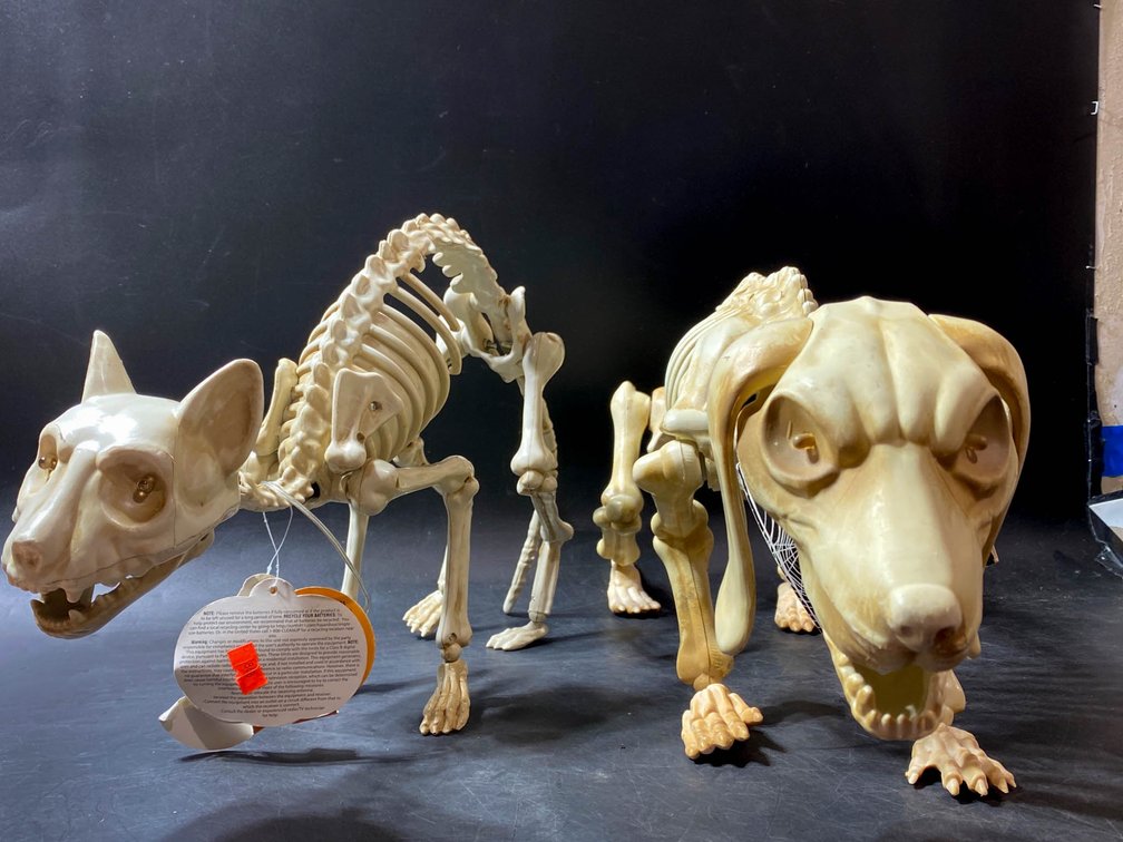 Skeleton Dog Models With LED Light-Up Eyes, Set of Two