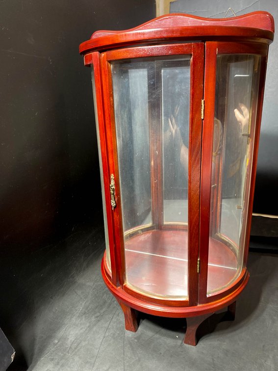 Wood and Glass Curio Display Cabinet with Hinged Door