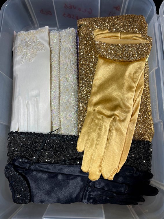 Evening Gloves and Matching Clutch Bags