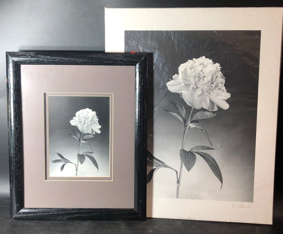 Framed and Unframed Floral Art Prints by D. Stefanich and Ira Roberts