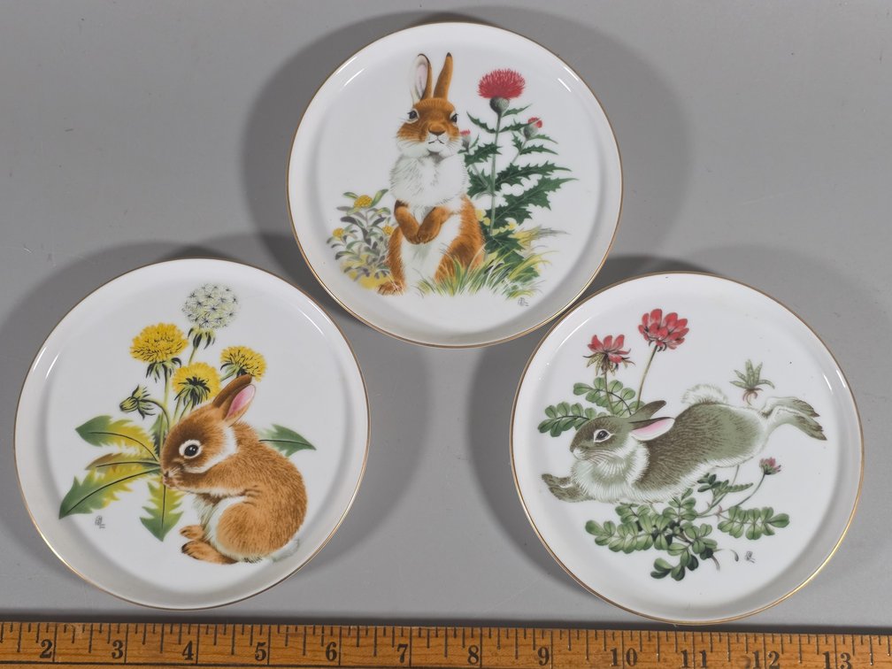 HOYA CHINA BUNNY COASTERS