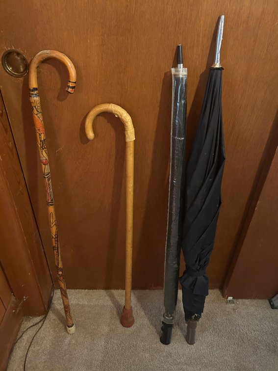 WALKING CANES, UMBRELLAS