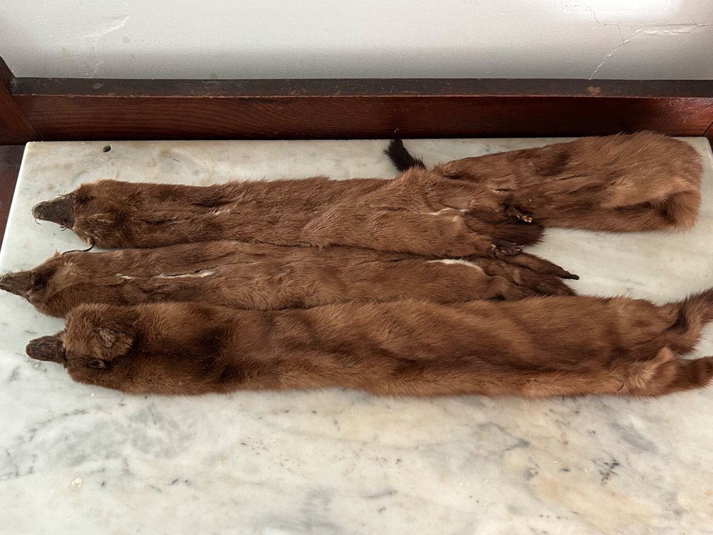 FUR STOLES