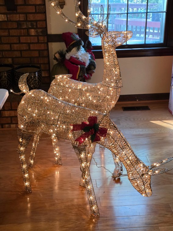 OUTDOOR LIGHTED REINDEER PAIR