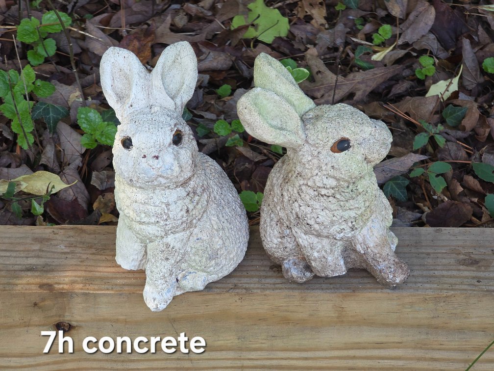 CONCRETE BUNNIES
