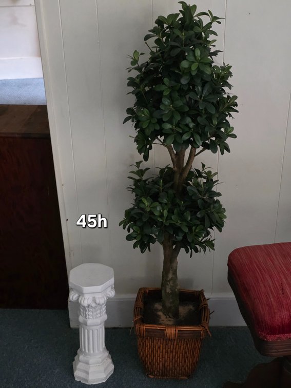FAUX TOPIARY, PLASTER COLUMN