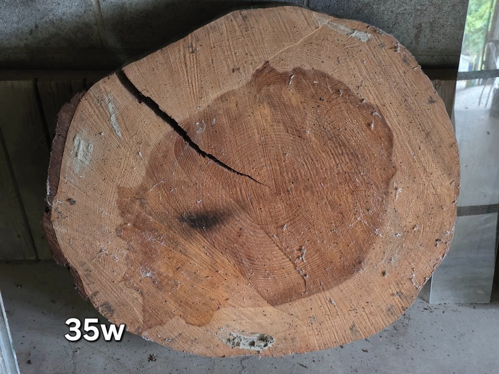SLAB PIECES TREE TRUNK
