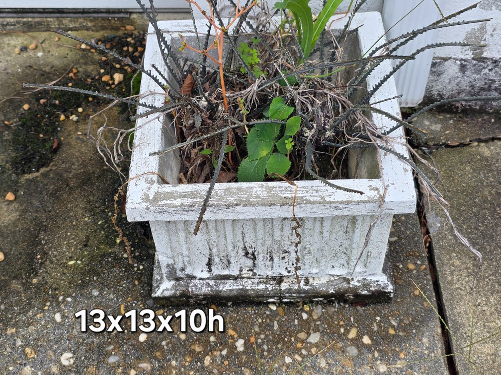 CONCRETE SQUARE PLANTERS