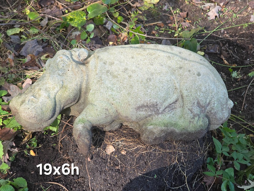 CONCRETE HIPPO