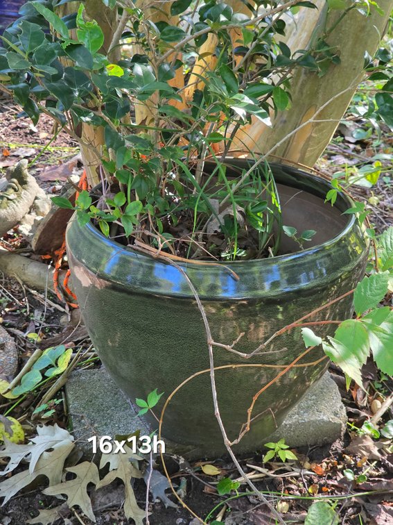 CERAMIC PLANTER