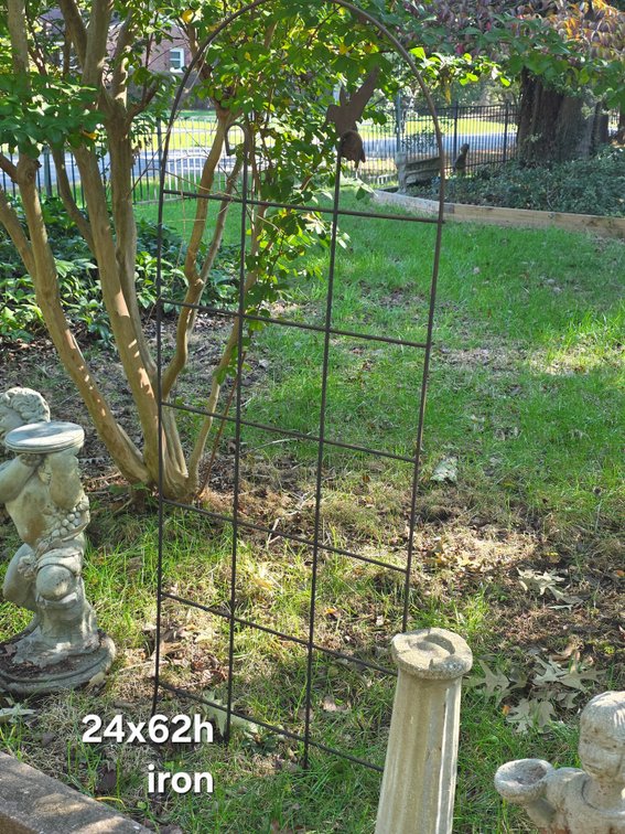 TRELLIS with BIRD ACCENT