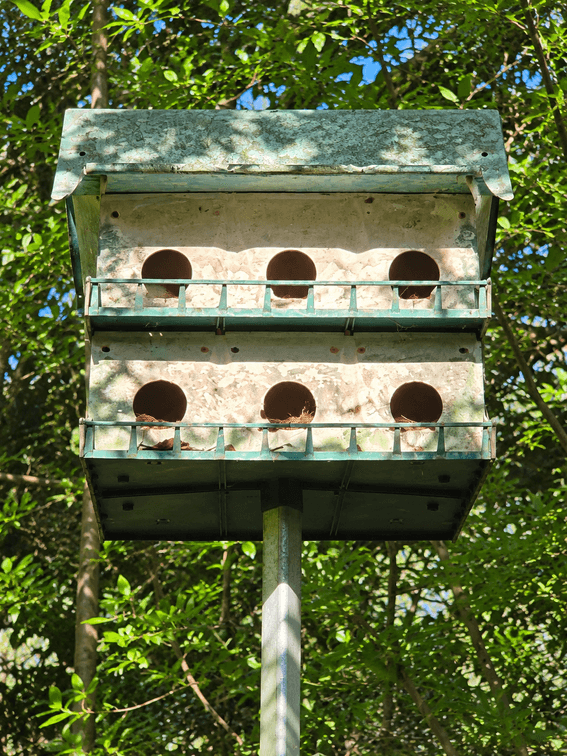 PURPLE MARTIN HOUSE