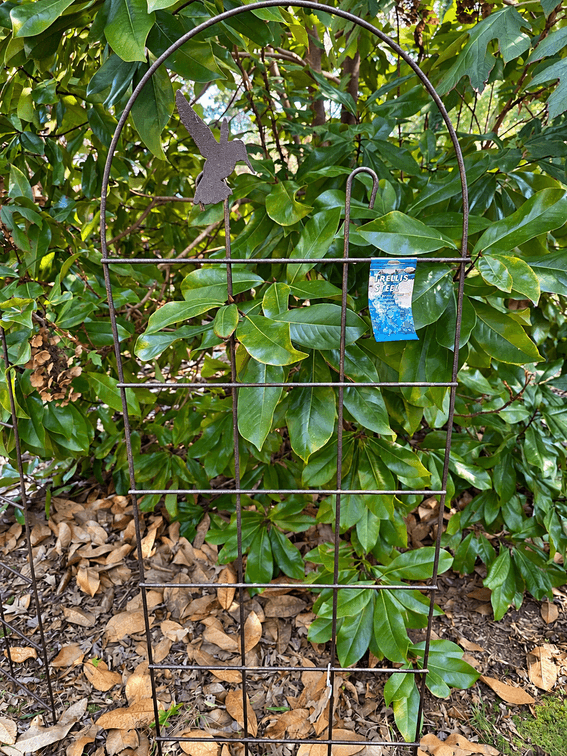 IRON TRELLIS