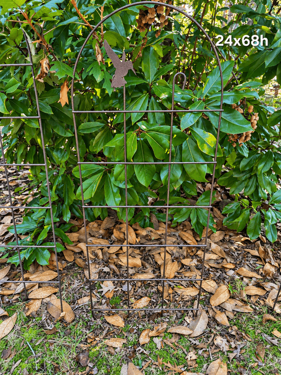 IRON TRELLIS