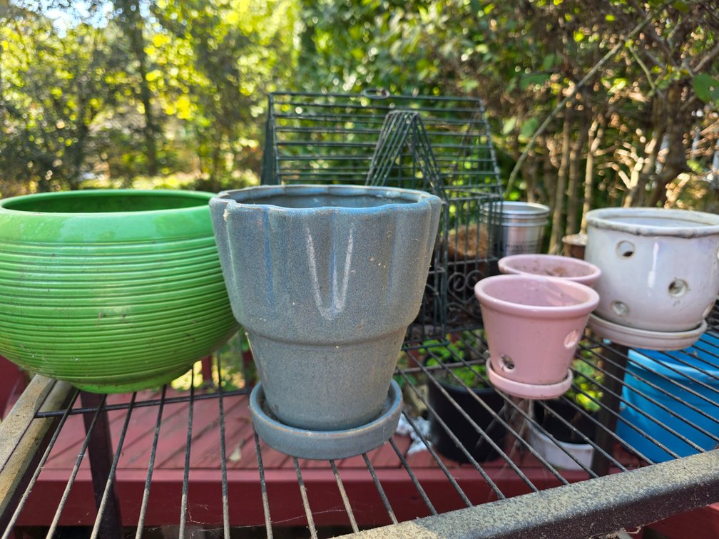 PLANTERS