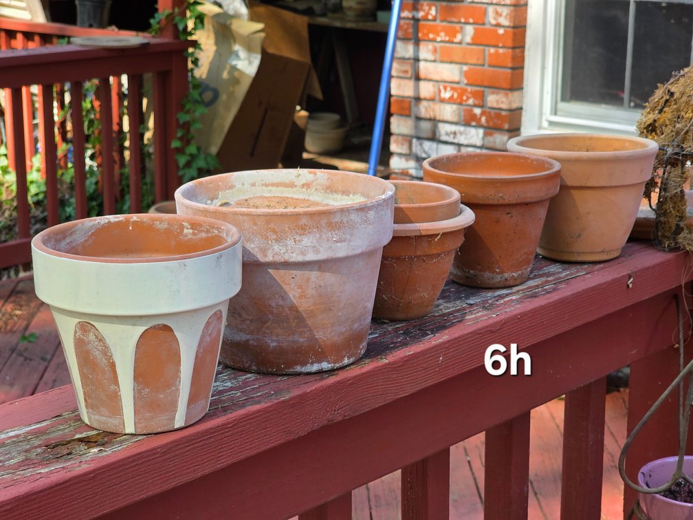 FLOWER POTS