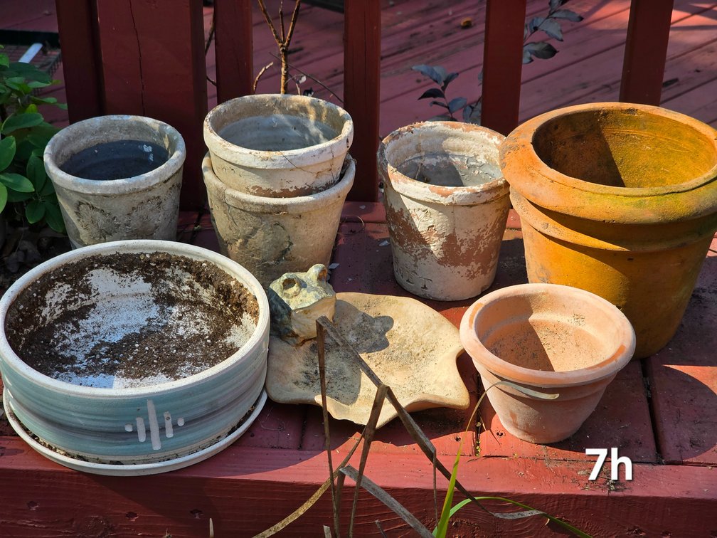 FLOWER POTS, FROG ON LILLY PAD