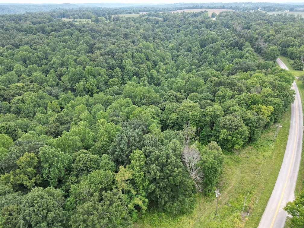 Image for 14.8 +/- Acres・Highway 189・White Plains