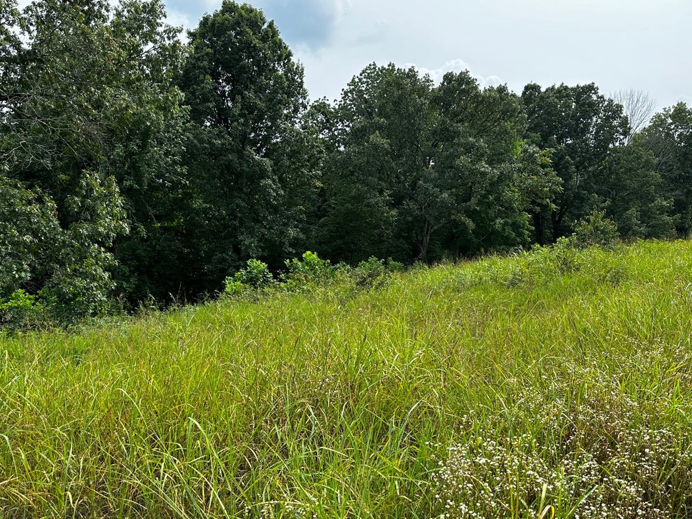 Image for 14.8 +/- Acres・Highway 189・White Plains