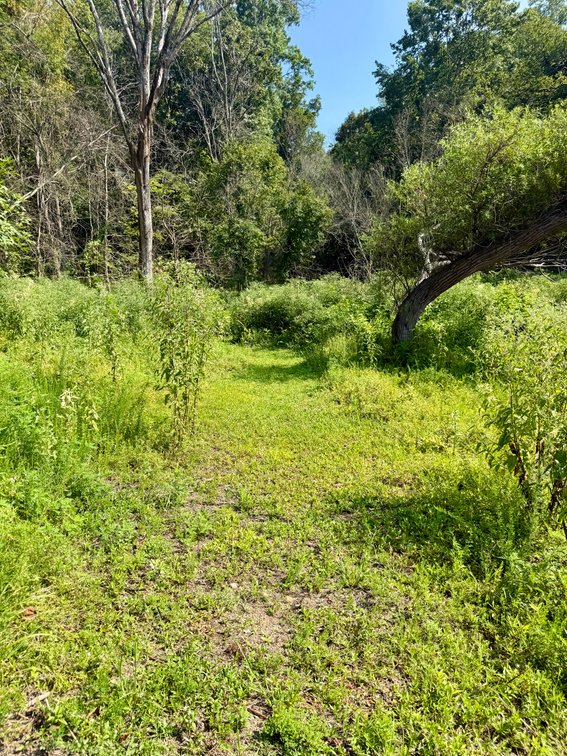 Image for 557 Barton Shockley Road・Scottsville・Barren River Lake