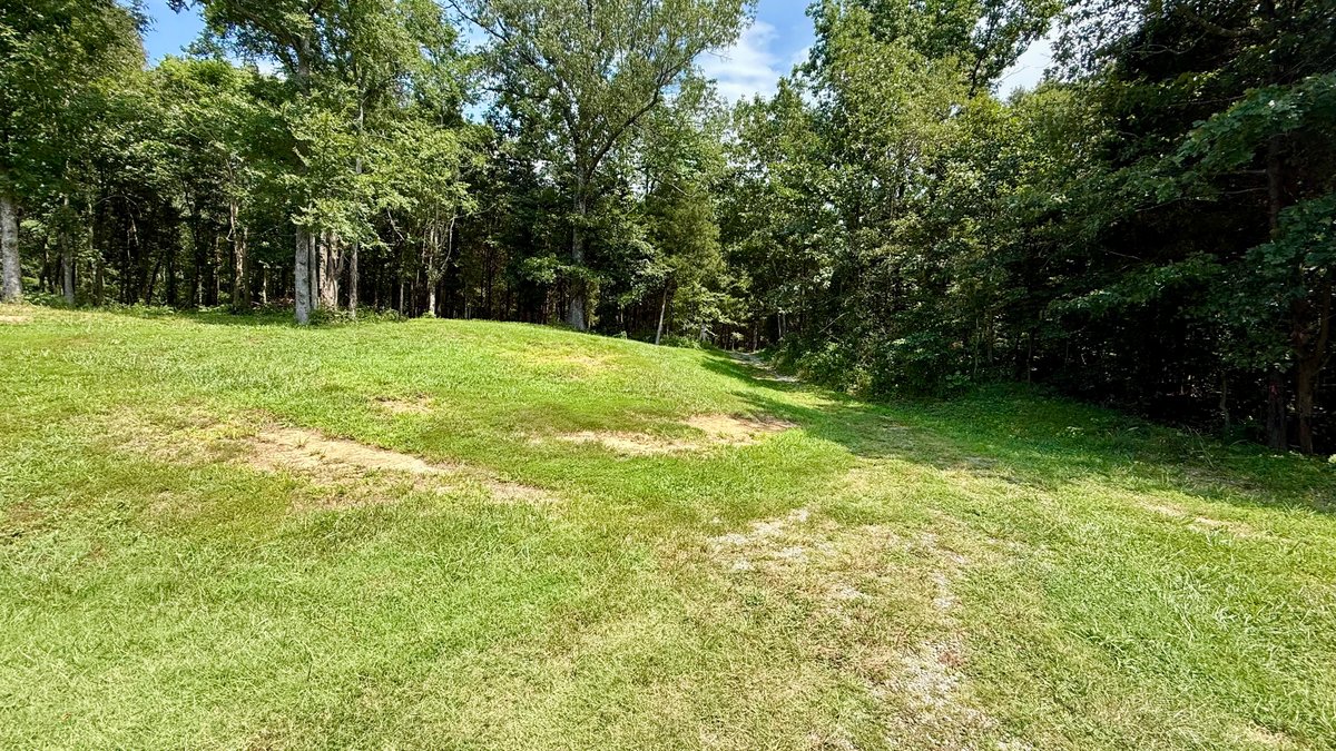 Image for 28 +/- Acres Cherrywood Drive・Central City