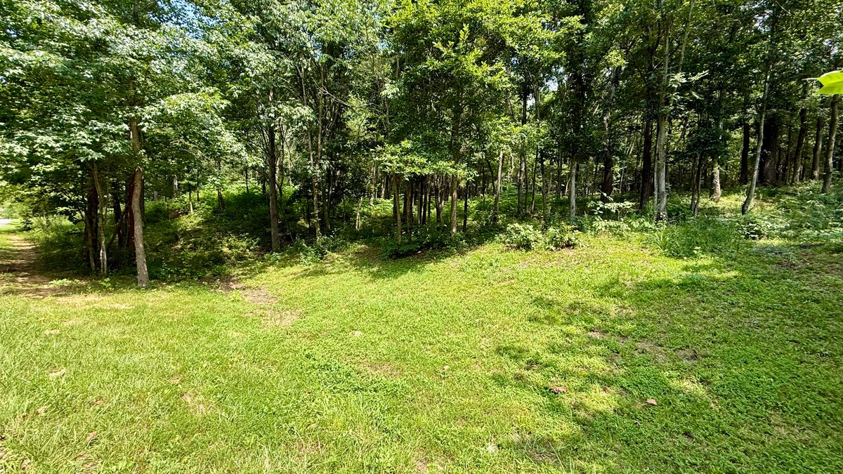 Image for 28 +/- Acres Cherrywood Drive・Central City