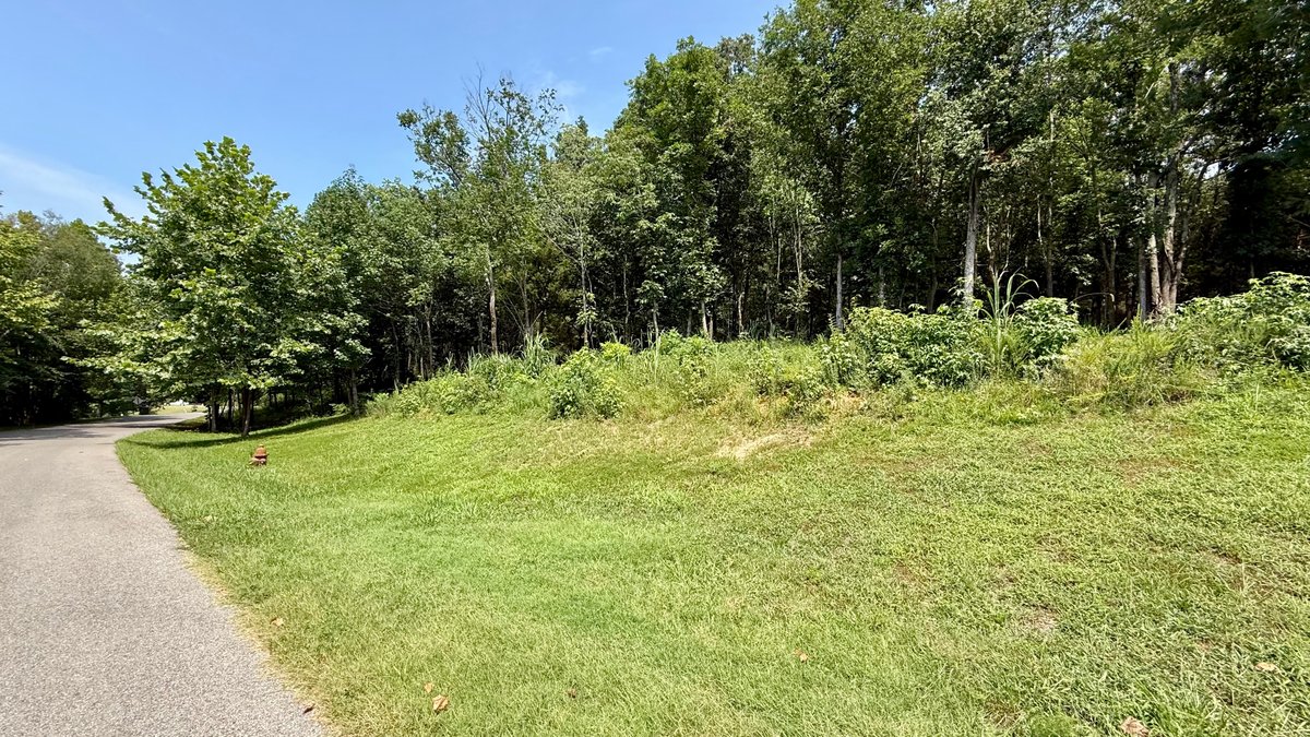 Image for 28 +/- Acres Cherrywood Drive・Central City