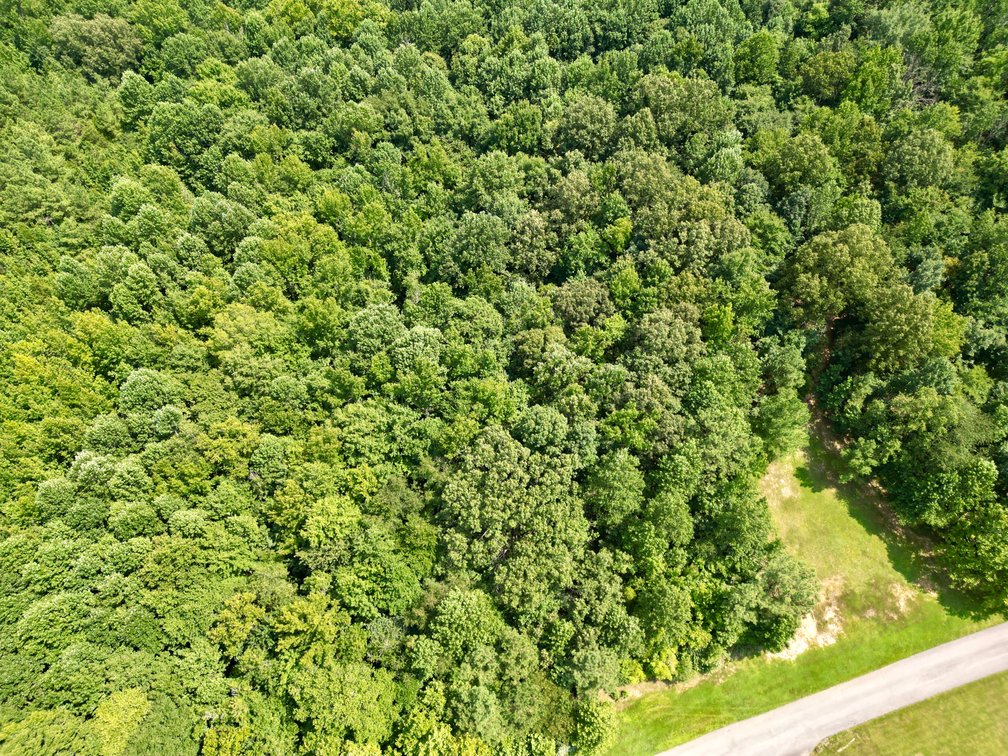 Image for 28 +/- Acres Cherrywood Drive・Central City