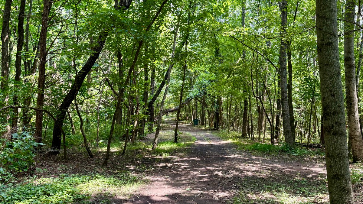 Image for 28 +/- Acres Cherrywood Drive・Central City