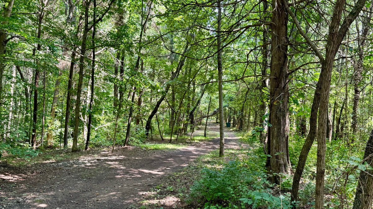 Image for 28 +/- Acres Cherrywood Drive・Central City