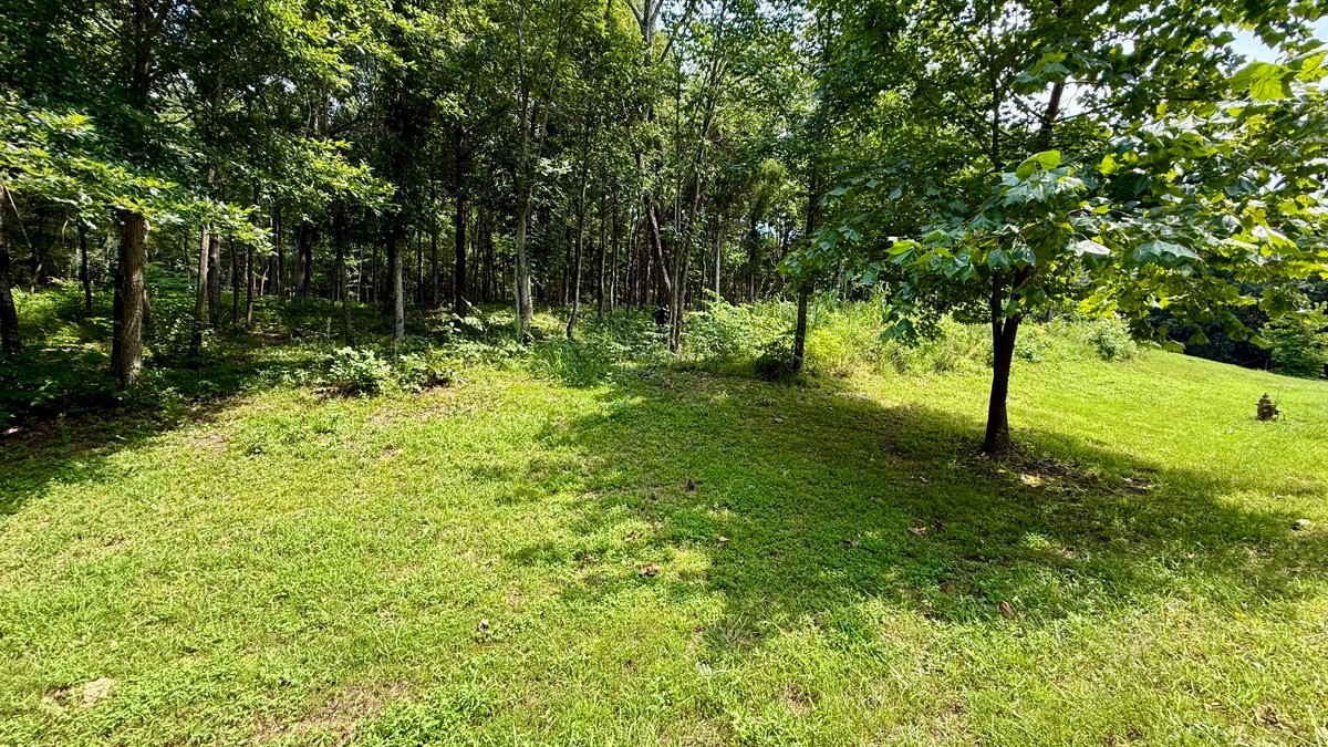 Image for 28 +/- Acres Cherrywood Drive・Central City
