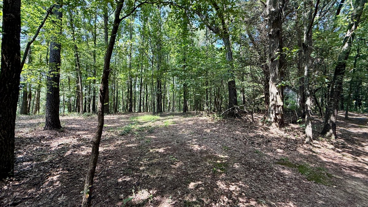 Image for 28 +/- Acres Cherrywood Drive・Central City
