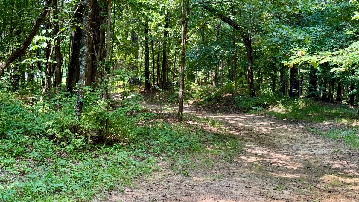 Image for 28 +/- Acres Cherrywood Drive・Central City