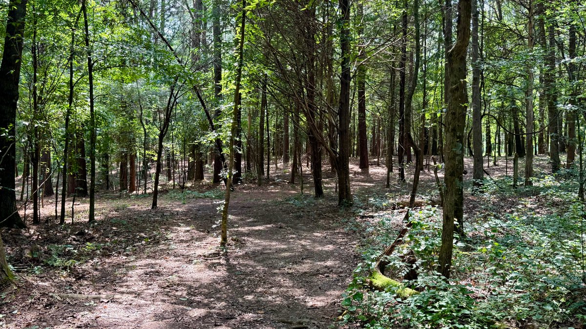 Image for 28 +/- Acres Cherrywood Drive・Central City