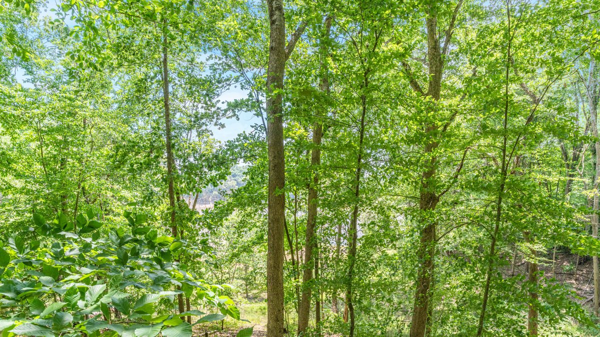 Image for 557 Barton Shockley Road・Scottsville・Barren River Lake