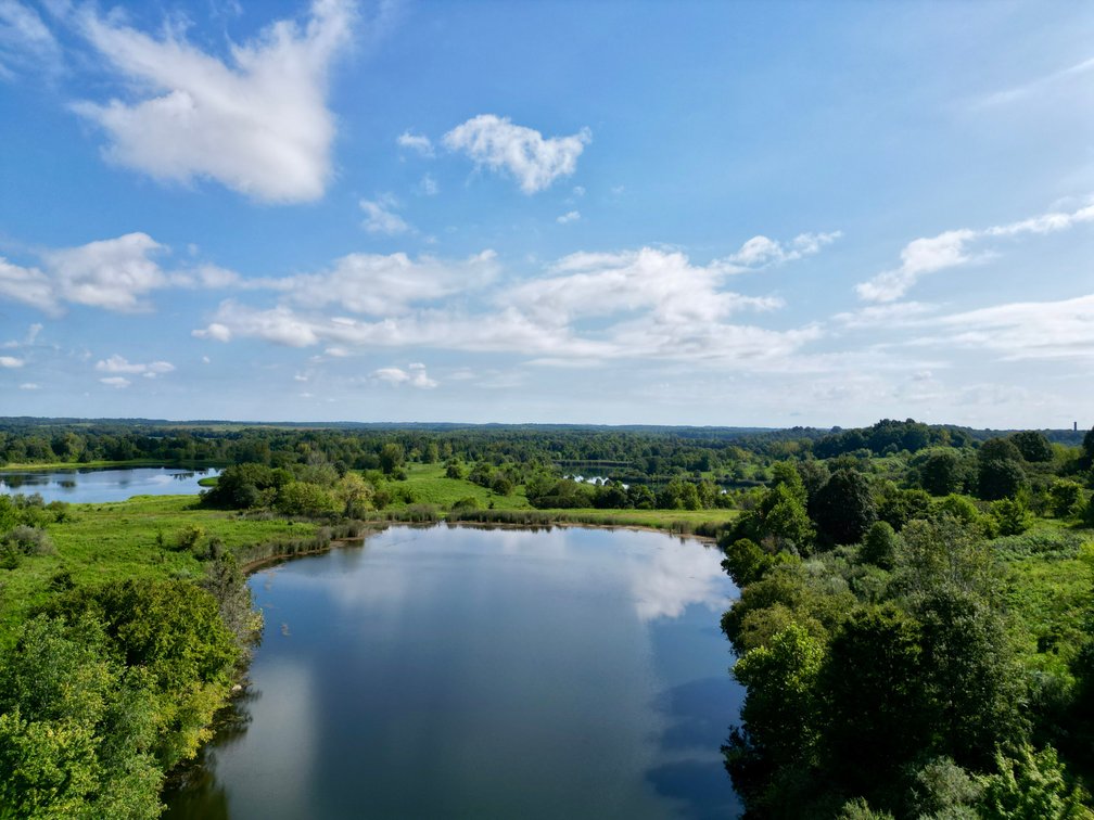 Image for 351 +/- Acres on Martwick Road / US Highway 62・Central City