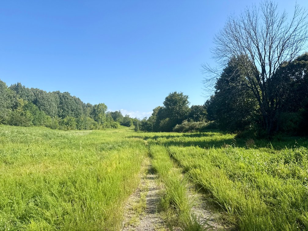 Image for 351 +/- Acres on Martwick Road / US Highway 62・Central City