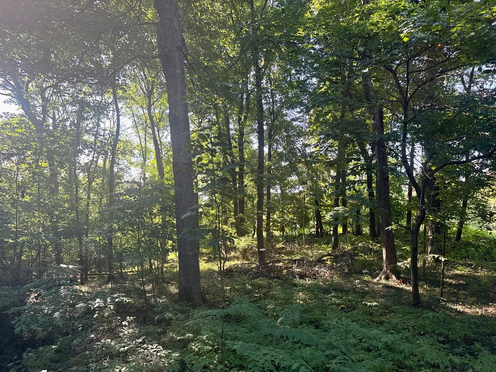 Image for 351 +/- Acres on Martwick Road / US Highway 62・Central City