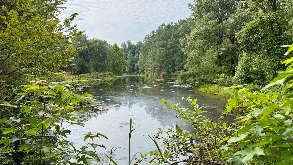 Image for 2181 Graham Cypress Road・Greenville