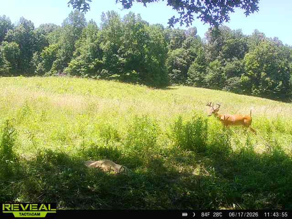 Image for 2181 Graham Cypress Road・Greenville