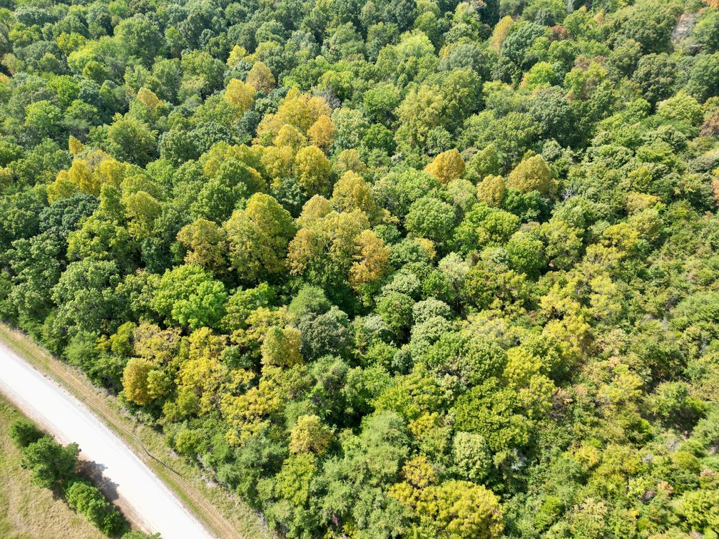 Image for Lot D11-E1・Kenton Drive・Belton