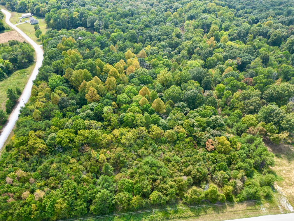 Image for Lot D11-E1・Kenton Drive・Belton