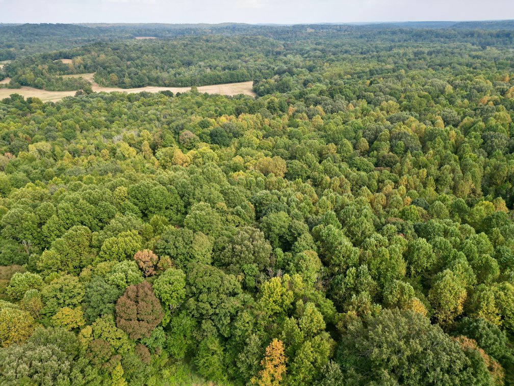 Image for State Route 949 & Penrod Lane・Dunmor
