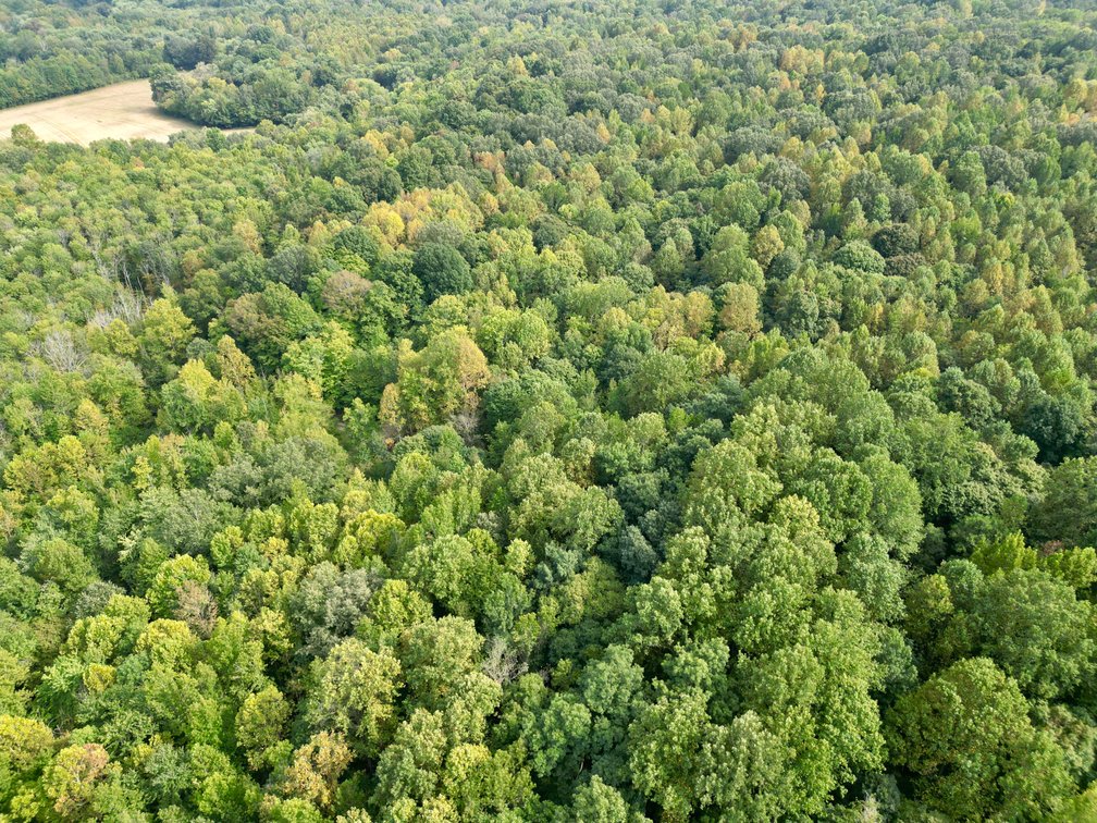 Image for State Route 949 & Penrod Lane・Dunmor