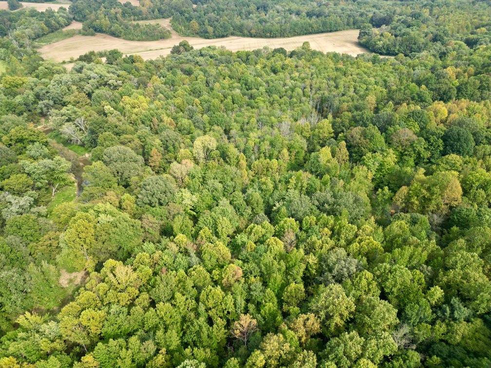 Image for State Route 949 & Penrod Lane・Dunmor
