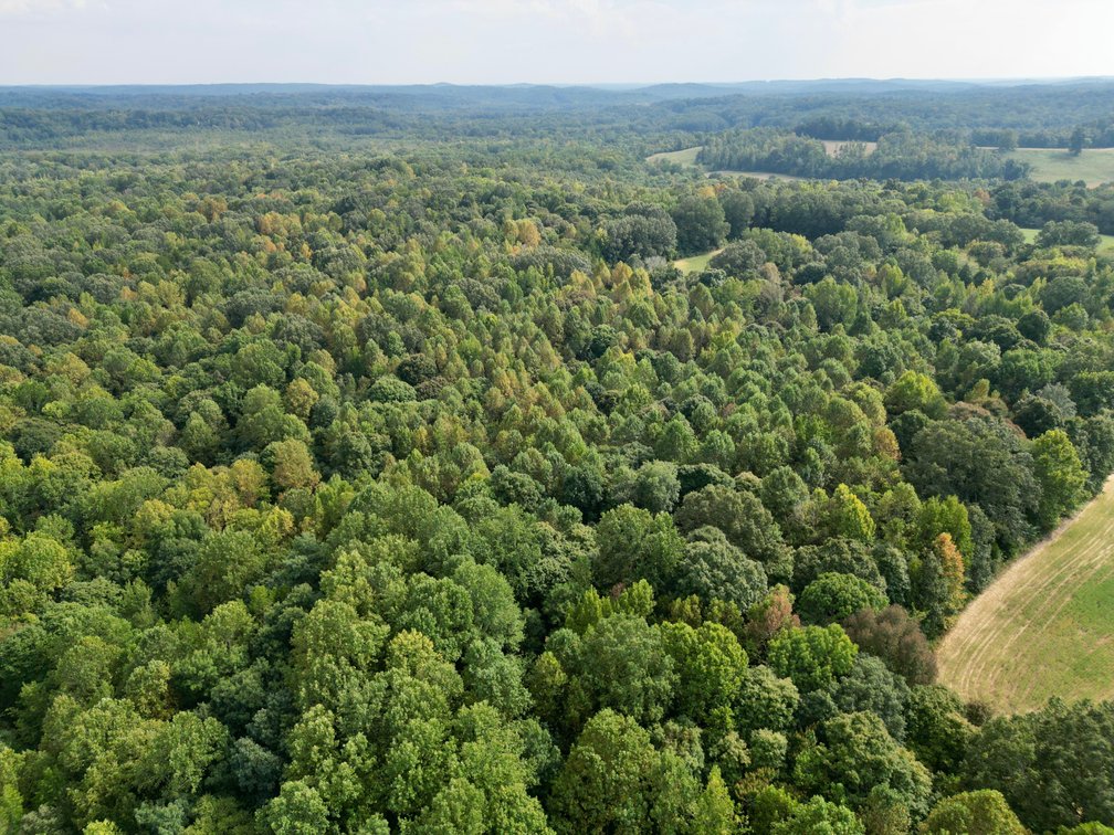 Image for State Route 949 & Penrod Lane・Dunmor