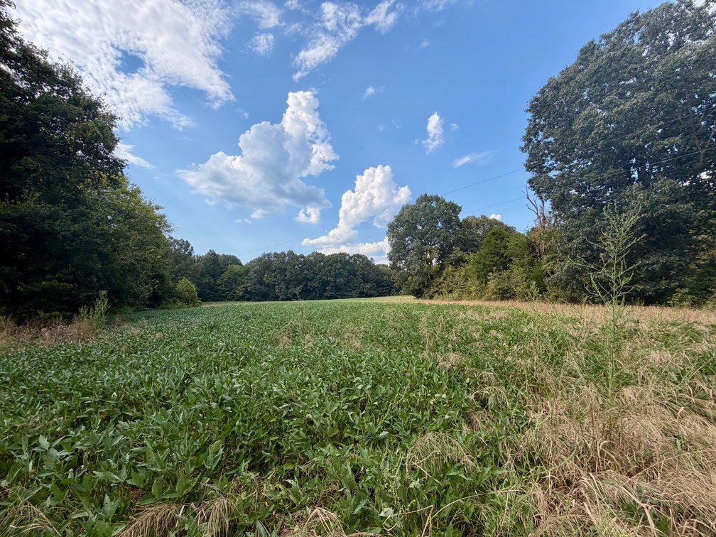 Image for State Route 949 & Penrod Lane・Dunmor