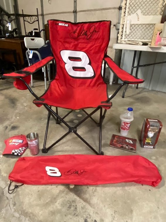 Dale Earnhardt JR. Group lot