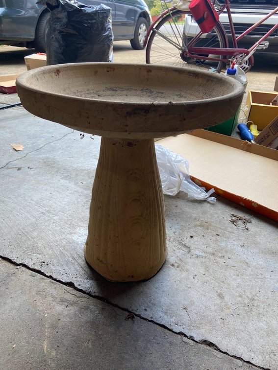 Bird Bath